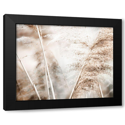 Soft Pampas Breeze Black Modern Wood Framed Art Print by Weisz, Irene