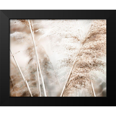 Soft Pampas Breeze Black Modern Wood Framed Art Print by Weisz, Irene