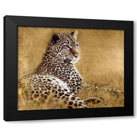 Tall Grass Gold Black Modern Wood Framed Art Print with Double Matting by Soulders, Paul