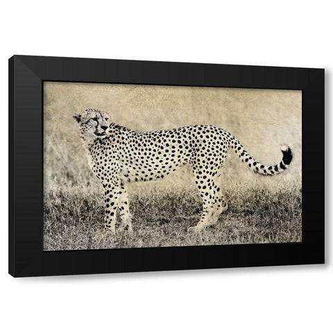 Camouflage Black Modern Wood Framed Art Print with Double Matting by Jaynes, William D.