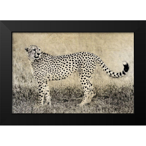 Camouflage Black Modern Wood Framed Art Print by Jaynes, William D.