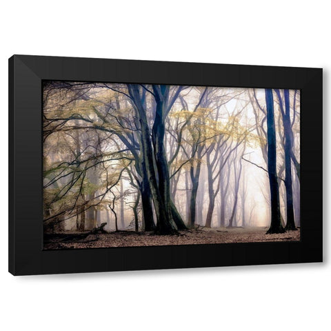 Fall Softly Black Modern Wood Framed Art Print with Double Matting by Van de Goor, Lars