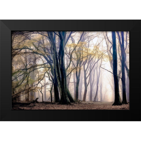 Fall Softly Black Modern Wood Framed Art Print by Van de Goor, Lars