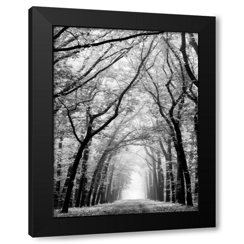 Cathedral Forest Black Modern Wood Framed Art Print by Van de Goor, Lars