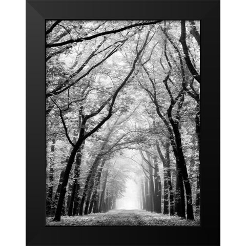 Cathedral Forest Black Modern Wood Framed Art Print by Van de Goor, Lars