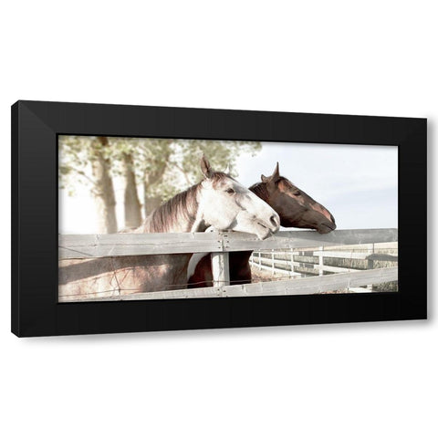 Friendly Visit Black Modern Wood Framed Art Print with Double Matting by Robinson, Carol
