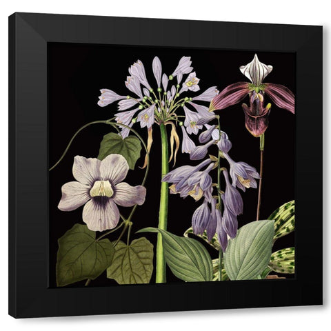 Dusty Plum Botanical I Black Modern Wood Framed Art Print with Double Matting by Jill, Susan