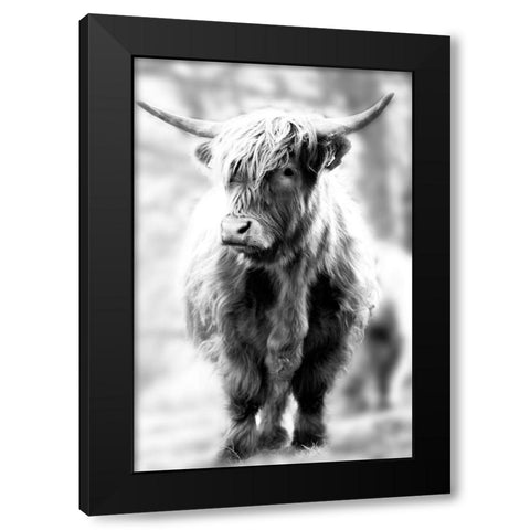 Yorkshire Black Modern Wood Framed Art Print by Sturdevant, Jay