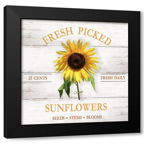 Fresh Picked Sunflowers Black Modern Wood Framed Art Print with Double Matting by Carpentieri, Natalie