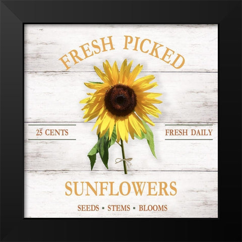 Fresh Picked Sunflowers Black Modern Wood Framed Art Print by Carpentieri, Natalie
