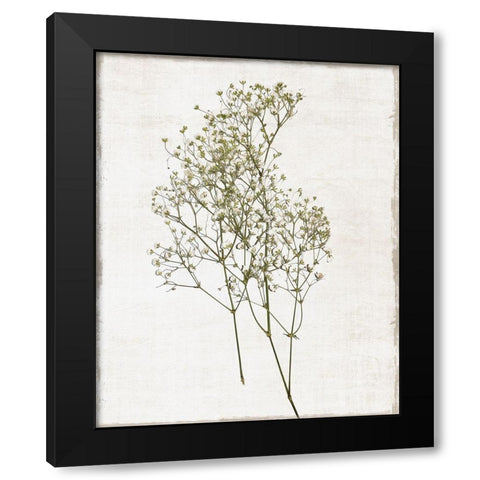 Farmhouse Pressed Flower I Black Modern Wood Framed Art Print with Double Matting by Carpentieri, Natalie