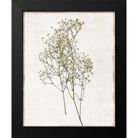 Farmhouse Pressed Flower I Black Modern Wood Framed Art Print by Carpentieri, Natalie