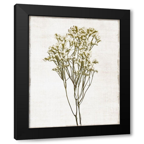 Farmhouse Pressed Flower II Black Modern Wood Framed Art Print with Double Matting by Carpentieri, Natalie