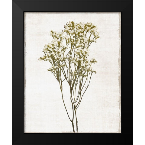 Farmhouse Pressed Flower II Black Modern Wood Framed Art Print by Carpentieri, Natalie