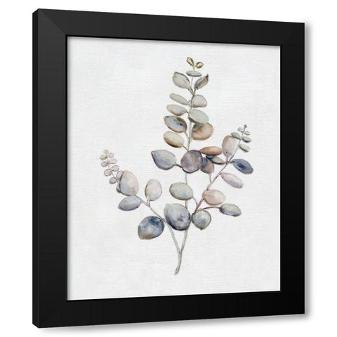 Eucalyptus I Black Modern Wood Framed Art Print with Double Matting by Brooks, Donna