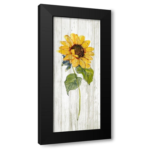 Sunflower in Autumn I Black Modern Wood Framed Art Print by Swatland, Sally