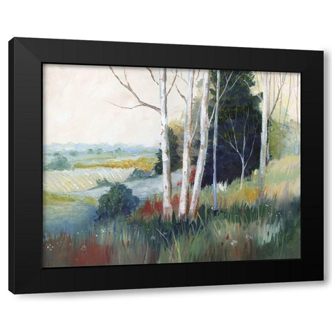 Aspen Ridge Black Modern Wood Framed Art Print with Double Matting by Nan