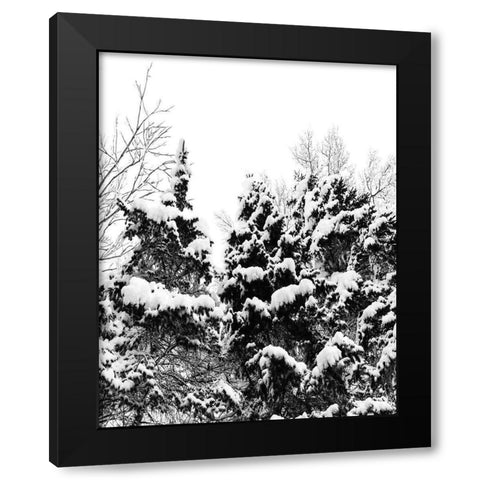 Wintery Dreams I Black Modern Wood Framed Art Print by Carpentieri, Natalie