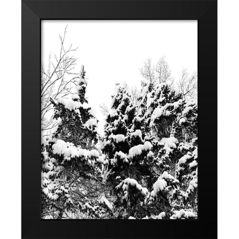 Wintery Dreams I Black Modern Wood Framed Art Print by Carpentieri, Natalie