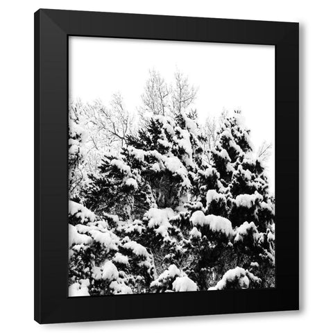 Wintery Dreams II Black Modern Wood Framed Art Print by Carpentieri, Natalie