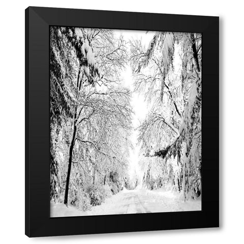 Wintery Dreams Path Black Modern Wood Framed Art Print by Carpentieri, Natalie
