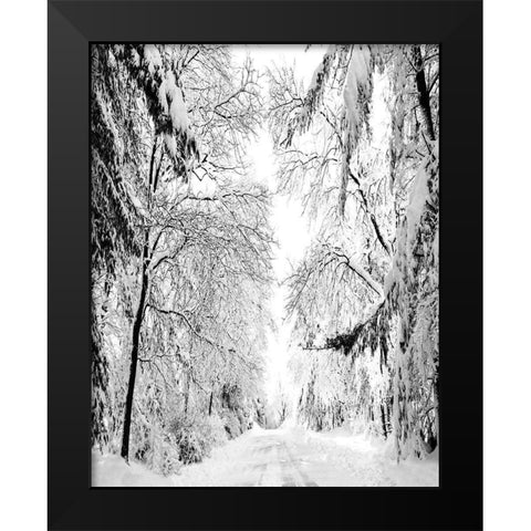 Wintery Dreams Path Black Modern Wood Framed Art Print by Carpentieri, Natalie