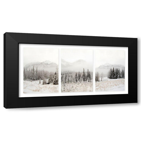 Snowbound Black Modern Wood Framed Art Print by Delimont, Danita