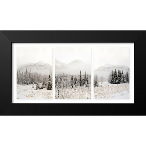 Snowbound Black Modern Wood Framed Art Print by Delimont, Danita