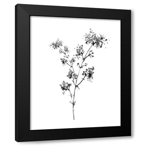 Neutral Washed Botanical I Black Modern Wood Framed Art Print by Knutsen, Conrad