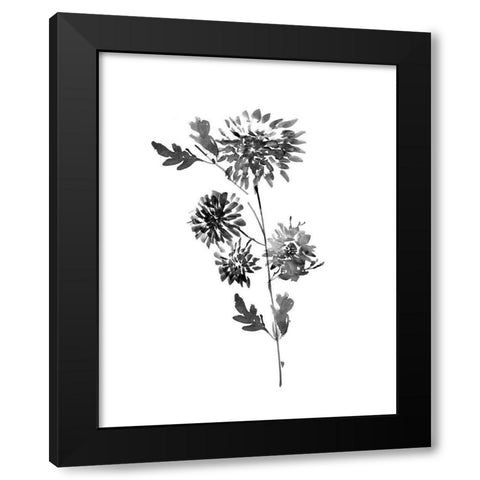 Neutral Washed Botanical II Black Modern Wood Framed Art Print by Knutsen, Conrad