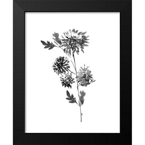 Neutral Washed Botanical II Black Modern Wood Framed Art Print by Knutsen, Conrad