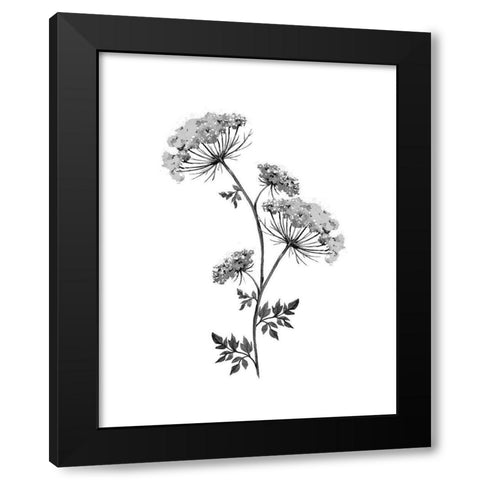 Neutral Washed Botanical III Black Modern Wood Framed Art Print by Knutsen, Conrad