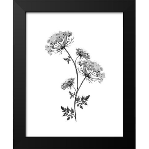 Neutral Washed Botanical III Black Modern Wood Framed Art Print by Knutsen, Conrad