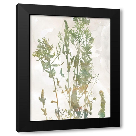 Untamed Garden I Black Modern Wood Framed Art Print by Robinson, Carol