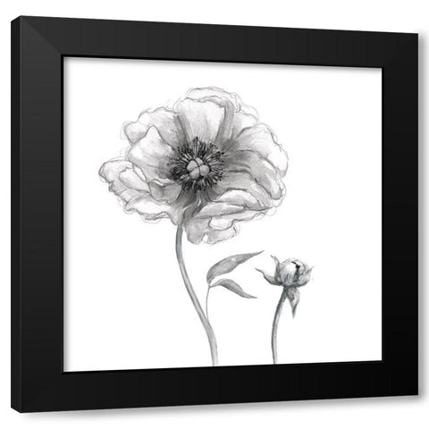 Sketchy Peony Black Modern Wood Framed Art Print by Robinson, Carol