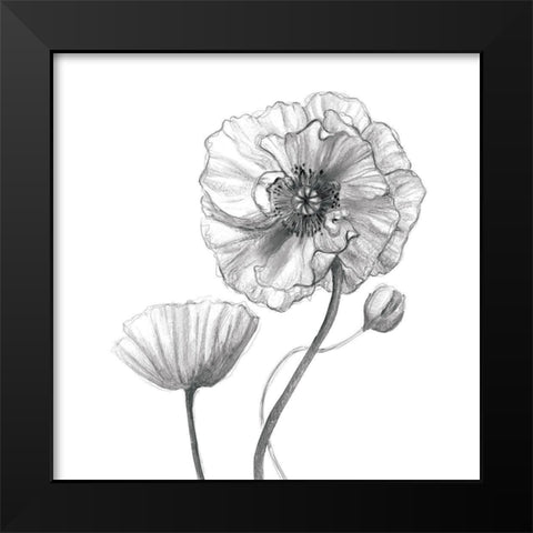 Sketchy Poppy Black Modern Wood Framed Art Print by Robinson, Carol