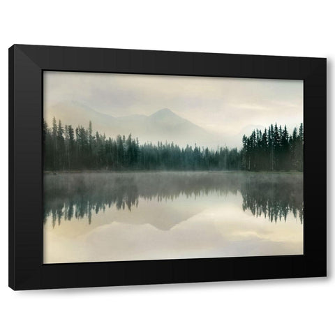 Jade Reflection Black Modern Wood Framed Art Print by Delimont, Danita
