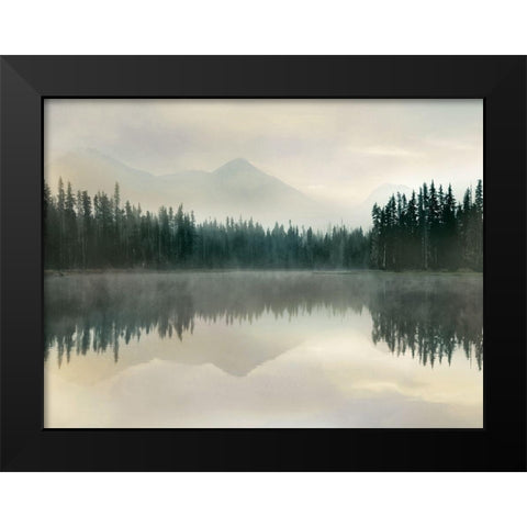 Jade Reflection Black Modern Wood Framed Art Print by Delimont, Danita