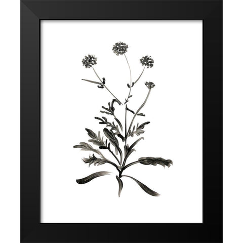 Inky Botanical I Black Modern Wood Framed Art Print by Donovan, Kelly