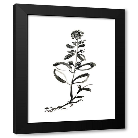 Inky Botanical III Black Modern Wood Framed Art Print by Donovan, Kelly