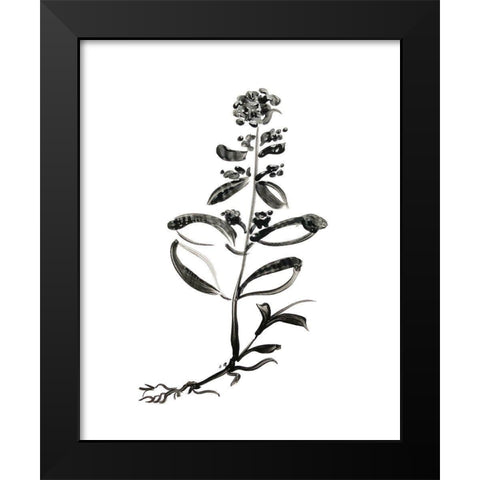 Inky Botanical III Black Modern Wood Framed Art Print by Donovan, Kelly