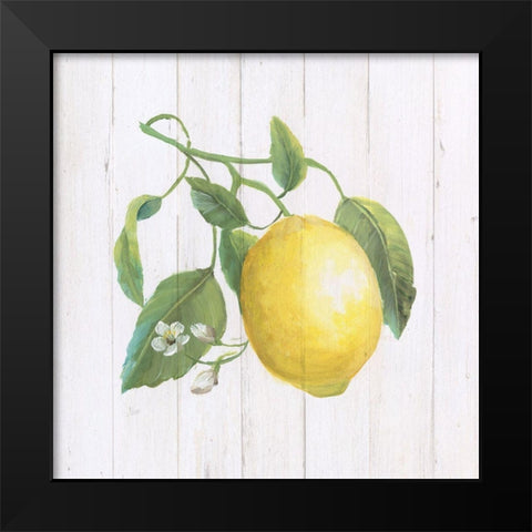 Lemon Fresh I Black Modern Wood Framed Art Print by Nan