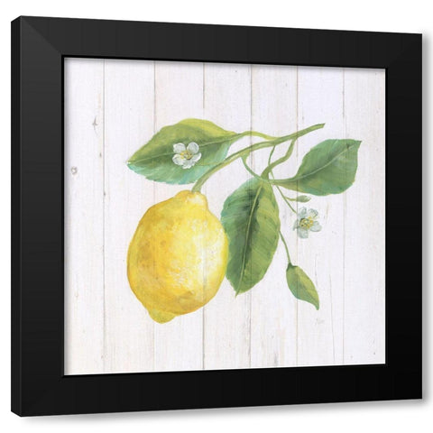Lemon Fresh II Black Modern Wood Framed Art Print with Double Matting by Nan