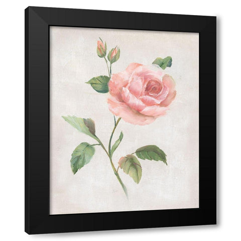 Grandiflora I Black Modern Wood Framed Art Print by Nan