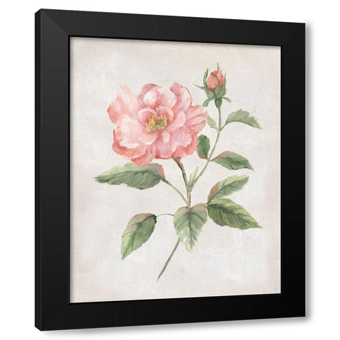 Grandiflora II Black Modern Wood Framed Art Print with Double Matting by Nan