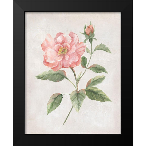 Grandiflora II Black Modern Wood Framed Art Print by Nan