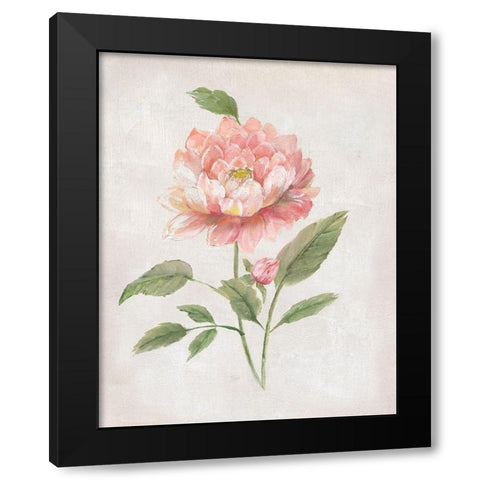 Grandiflora III Black Modern Wood Framed Art Print by Nan