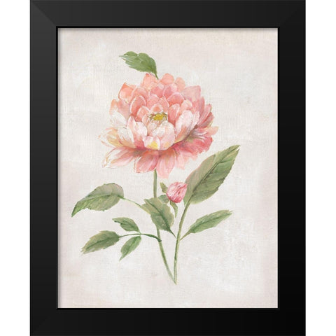 Grandiflora III Black Modern Wood Framed Art Print by Nan