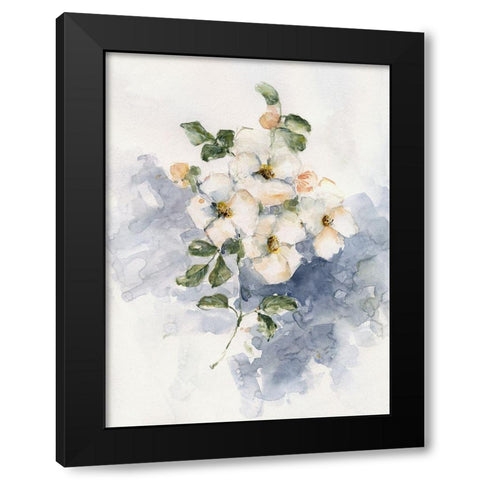 Dogwood Blossoms II Black Modern Wood Framed Art Print by Swatland, Sally