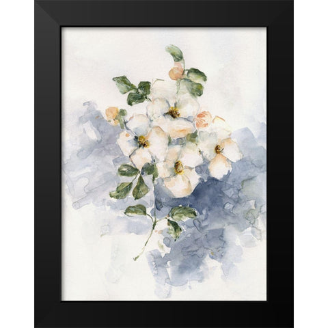 Dogwood Blossoms II Black Modern Wood Framed Art Print by Swatland, Sally